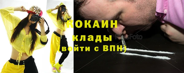 таблы Ельня