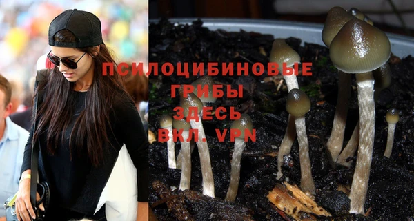 таблы Елабуга