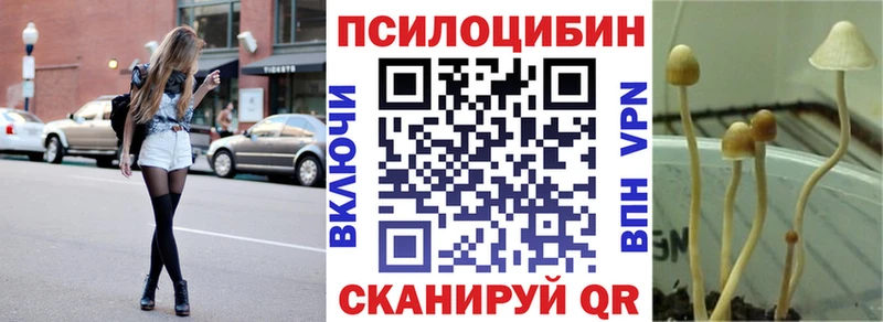 МЕГА ССЫЛКА Тихвин Псилоцибиновые грибы GOLDEN TEACHER